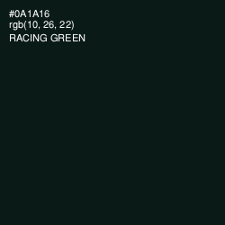 #0A1A16 - Racing Green Color Image